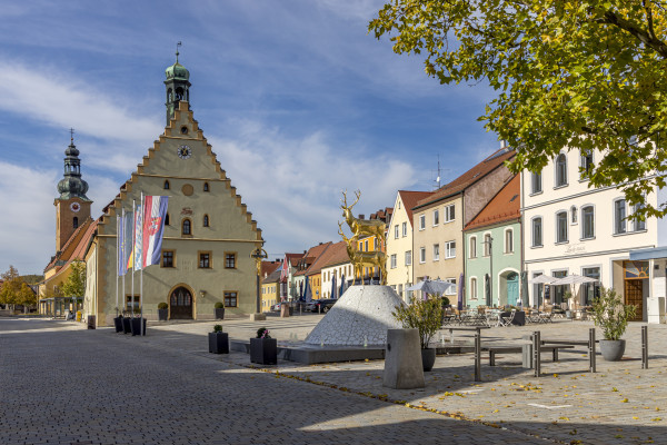 Rathaus Hirschau mit Brunnen