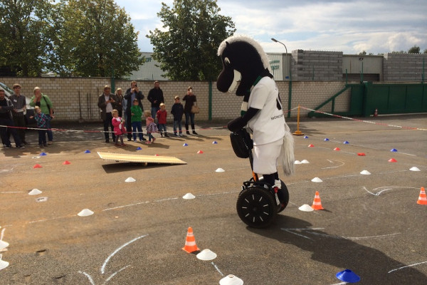 für alle Fohlen-Fans
