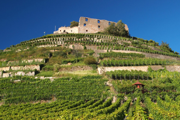 Burgruine Staufen