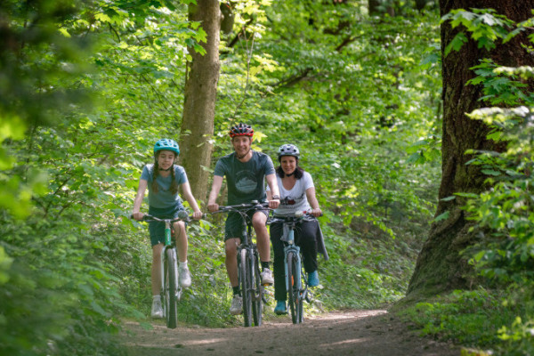 Durch Wälder