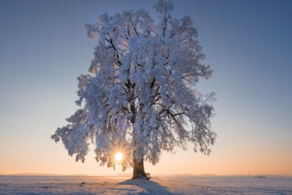 Sonnenaufgang im Winter, (c) Purr