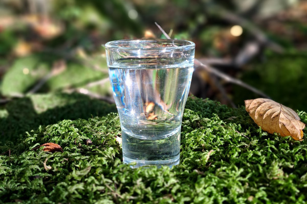 Ein Schnäpslein steht im Walde, (c) Katja Altemann