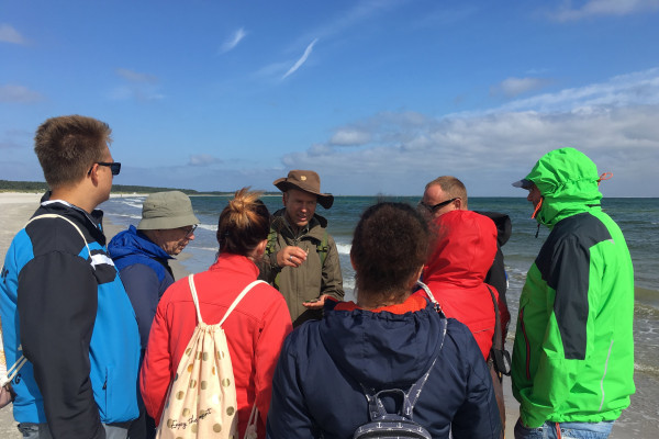 Strandfunde suchen, finden und bestimmen