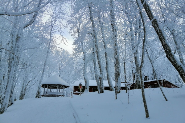 Winterwandern zum Geisingberg
