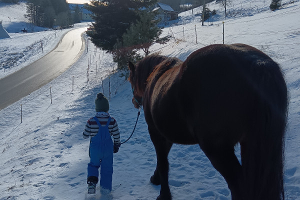 Kind führt Pferd durch den Schnee