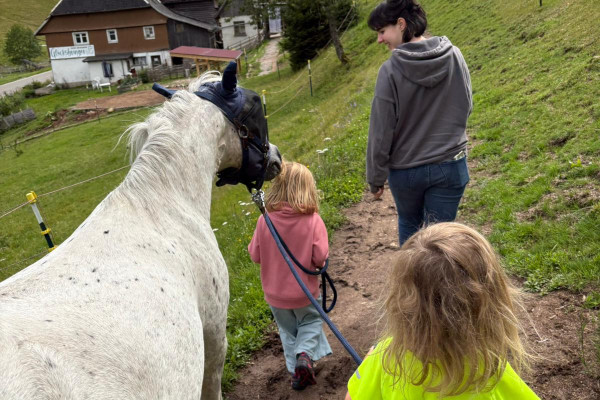 Kinder führen gemeinsam das Pferd