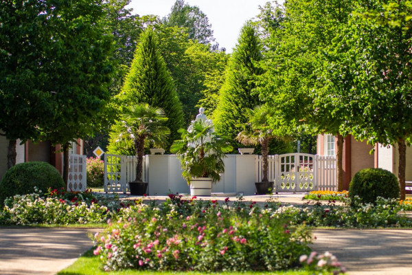 Rosengarten Forst. Foto: PatLografie - Patrick Lucia.jpg.345298