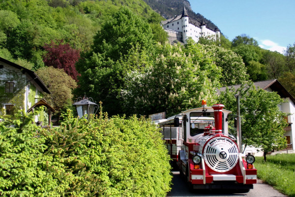 Bummelzug "Tratzberg-Express" durch den Schlosswald