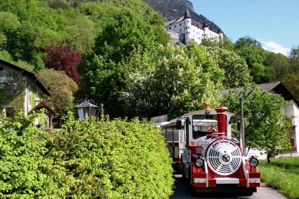 Bummelzug "Tratzberg-Express" durch den Schlosswald