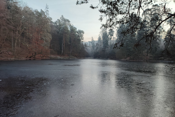 Donoper Teich