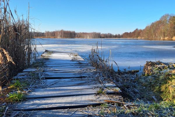 Blick auf den winterlichen Teich, Foto: Jochen Kowar 