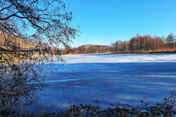 Blick auf den winterlichen Teich, Foto: Jochen Kowar