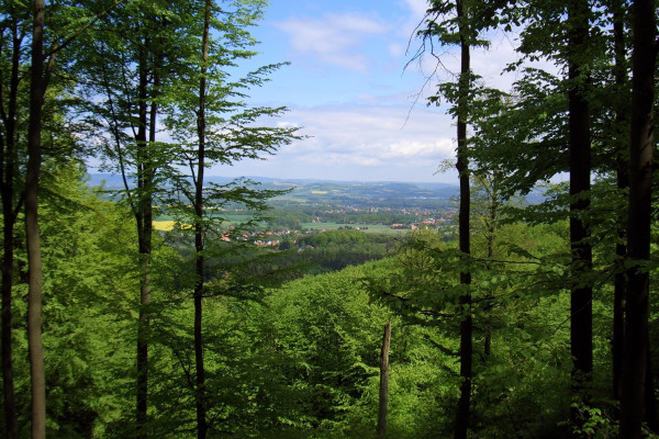 Aussicht vom Kamm des Teutoburger Walds