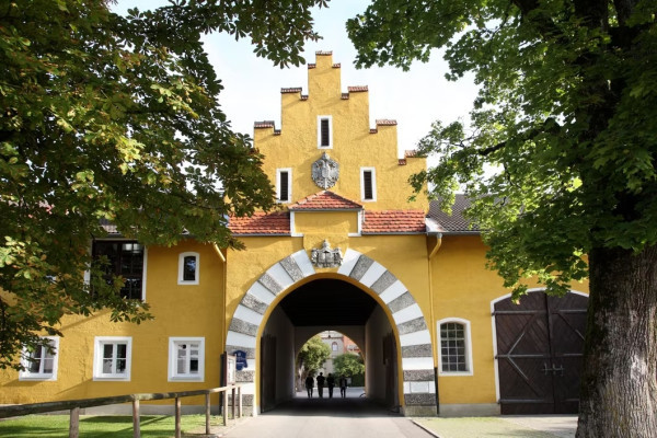 Burgeingang Stein an der Traun
