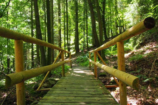 Brücke über die Hartschlucht, (c) Bick/Stadt Homberg (Ohm)