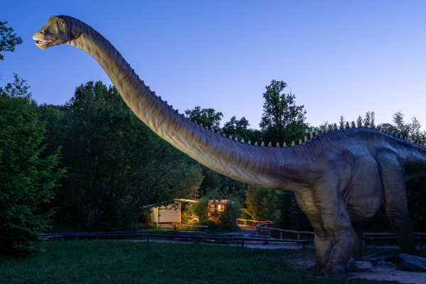 Schlafen mitten unter Dinosauriern!
Foto: Sven Nieder