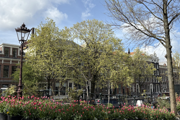 Herzblut Amsterdam Stadtführungen mit Herz und Seele!
Informativ, kurzweilig, heiter und individuell / Grachtengürtel/ Jordaan/ Historisches Stadtzentrum/Kleine Gruppen/ Architektur/ Hausboote/ Kleine Gassen