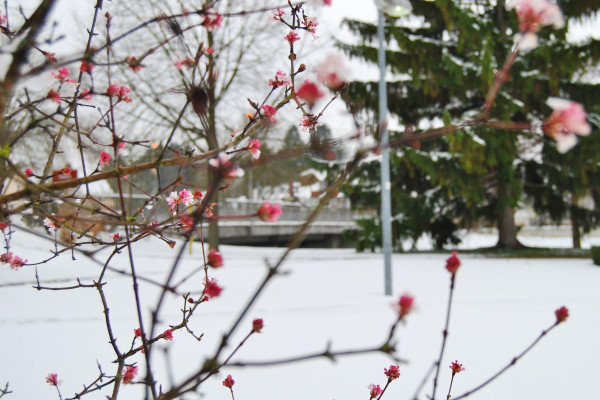 Winterzeit in Bad Gögging