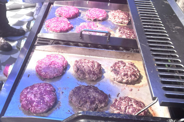 Frische Pattis