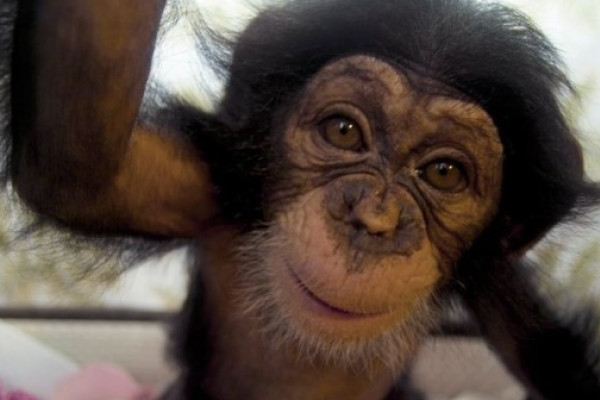 Malia im Leintalzoo in Schwaigern