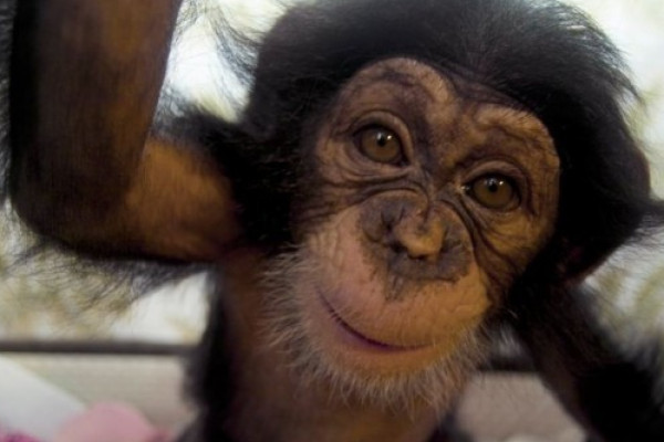 Malia im Leintalzoo in Schwaigern