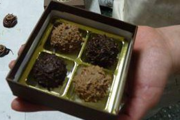 Pralinen-Seminar in Dresden