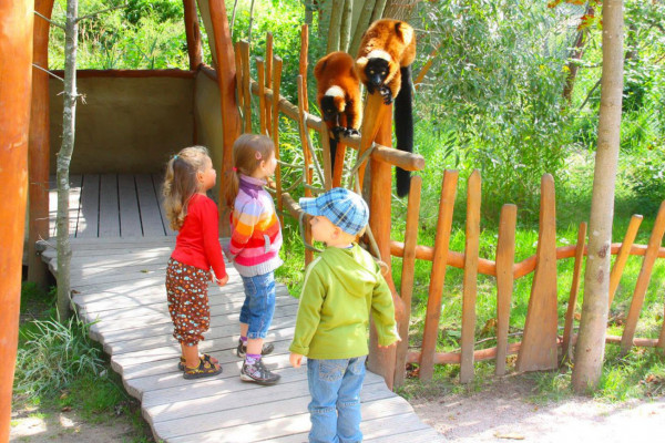 Kleine Besucher im Vogelpark Marlow Kleine Besucher im Vogelpark Marlow