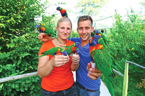Vogelpark Marlow Vogelpark Marlow