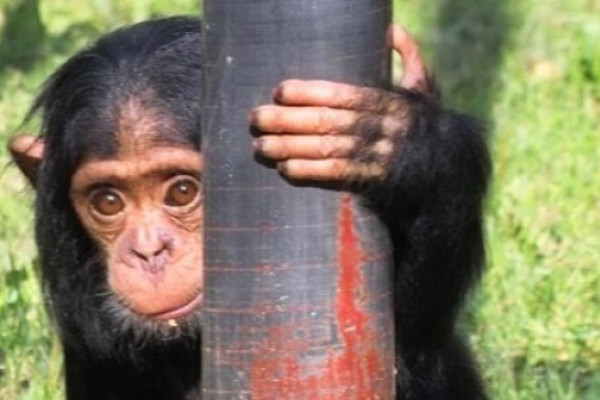 Lutz im Leintalzoo in Schwaigern
