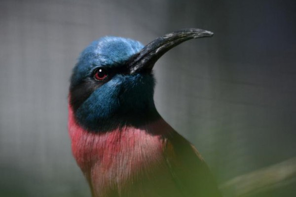 Fotokurs in Köln: Kölner Zoo