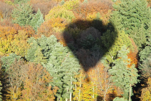 Herbstliche Stimmung über dem Wald
