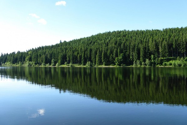 Segway Tour Schwarzwald Schluchsee Panorama Segway Tour Schwarzwald Schluchsee Panorama
