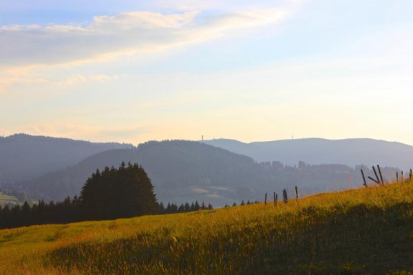 Scrooser Tour Zwei Seen Schwarzwald