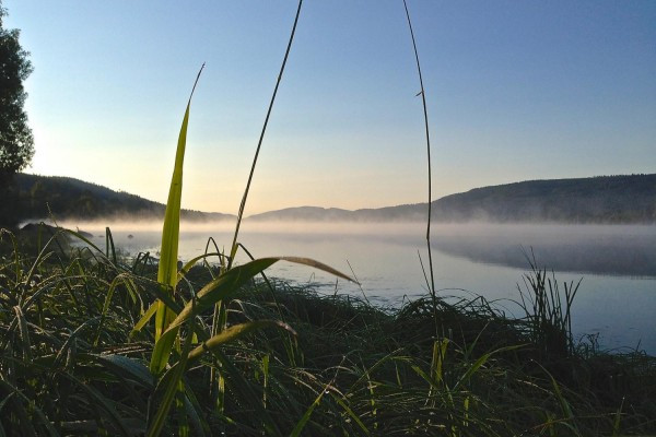 Segway Schluchsee Panorama