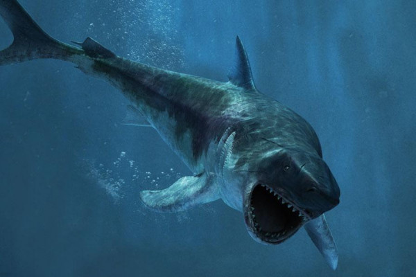Megalodon - Der Urhai im Erlebnis-Museum nahe Saarbrücken Megalodon - Der Urhai im Erlebnis-Museum nahe Saarbrücken