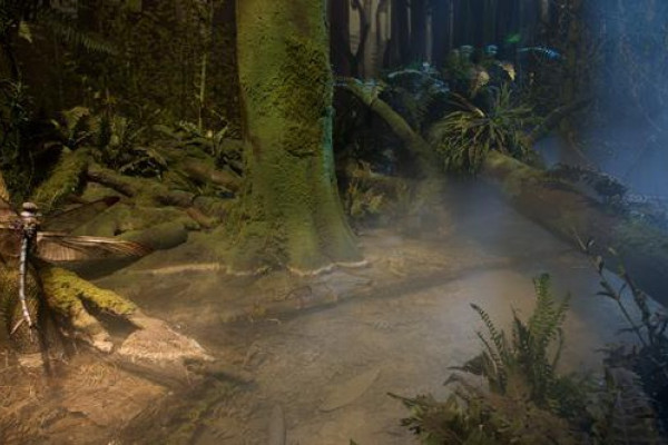 Eine Reise durch die Zeit im Praehistorium Eine Reise durch die Zeit im Praehistorium