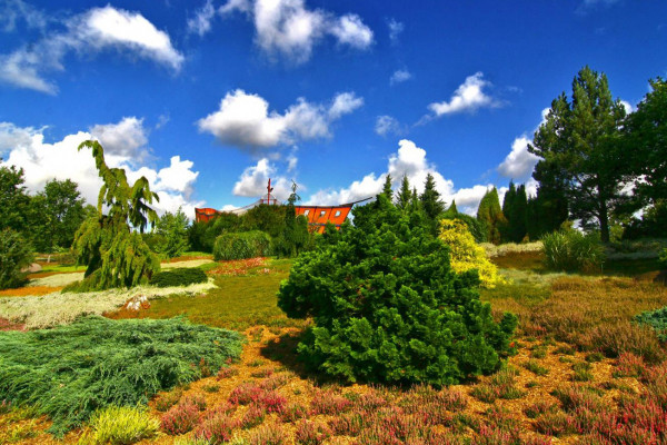 Natur pur im Vogelpark Marlow Natur pur im Vogelpark Marlow