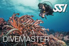 SSI Divemaster