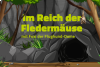 Online Escape Game - Im Reich der Fledermäuse (Jederzeit spielbar!)