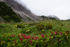 Geführte Wanderung Absam