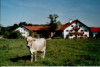 Erlebnisbauernhof in Böbing