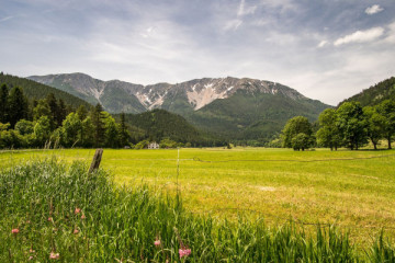 Rundflug | Schnee-Berg-Panorama