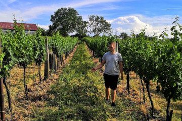 Weg zum Wein - Winzerfamilie Pfalz 1