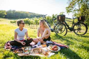 Radlerpicknick - vegetarische Variante