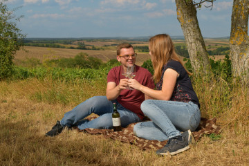 Picknick im Weingarten - Winzerfamilie Pfalz 1