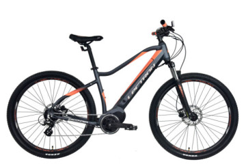 Verleih eMTB Lectron * Grösse "L"