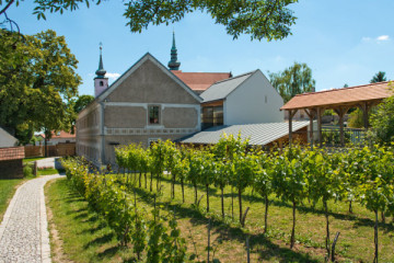 WEIN+TRAUBEN Welt