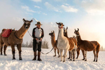 Winterwanderung Innerberg mit den Lamas