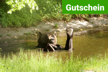 GUTSCHEIN Tagesticket für den BÄRENWALD Arbesbach 2026