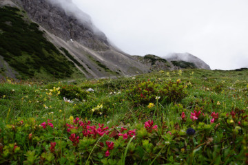 Geführte Wanderung Absam